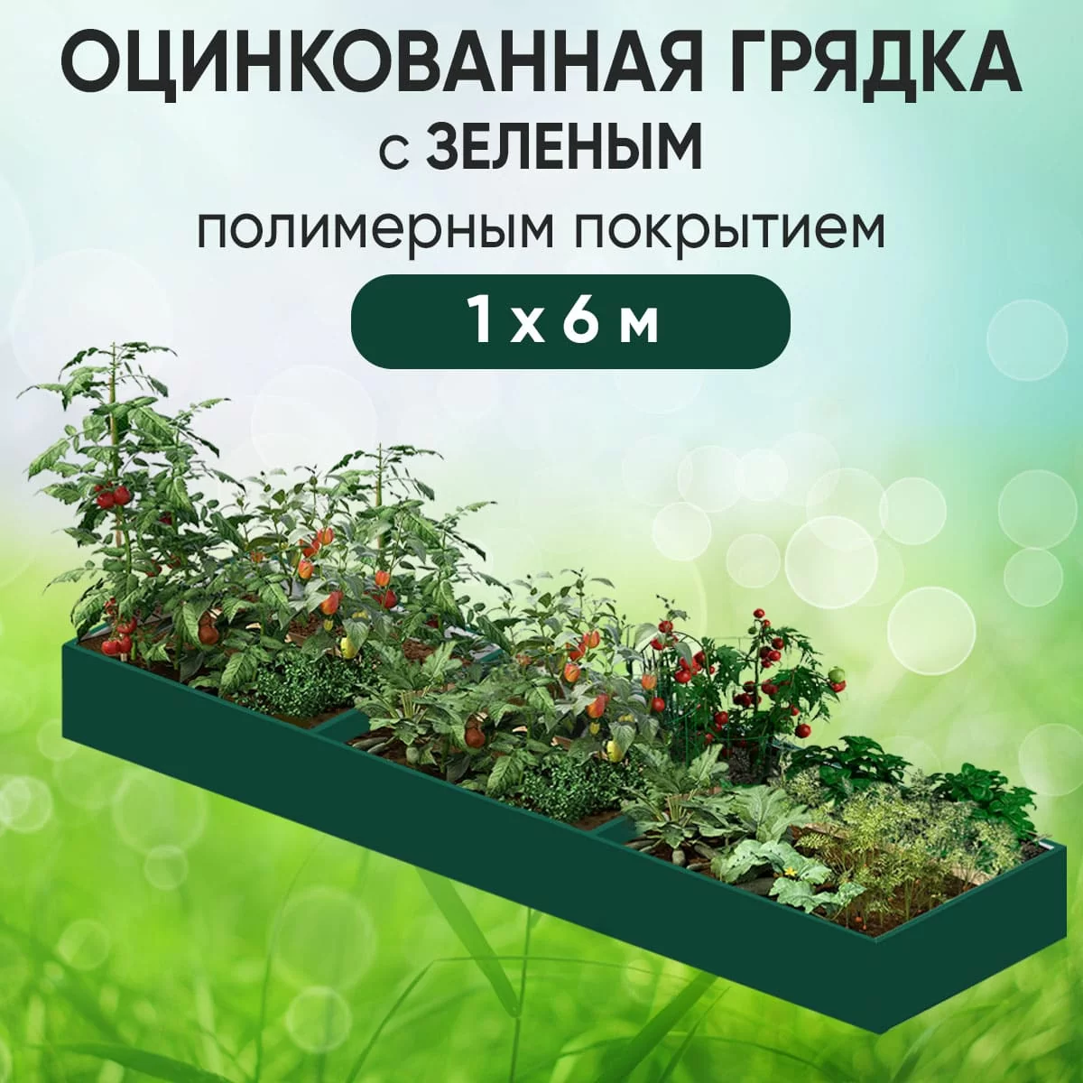 Грядка зеленая (1 х 6)