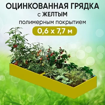 Грядка желтая (0,6 х 7,7)